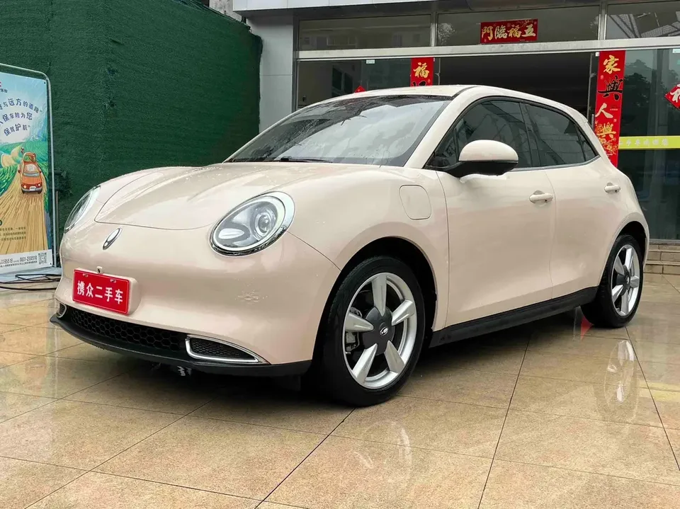 ORA Euler good cat Euler good cat 2022 400km standard endurance luxury lithium iron phosphate 2022 — thumbnail 3
