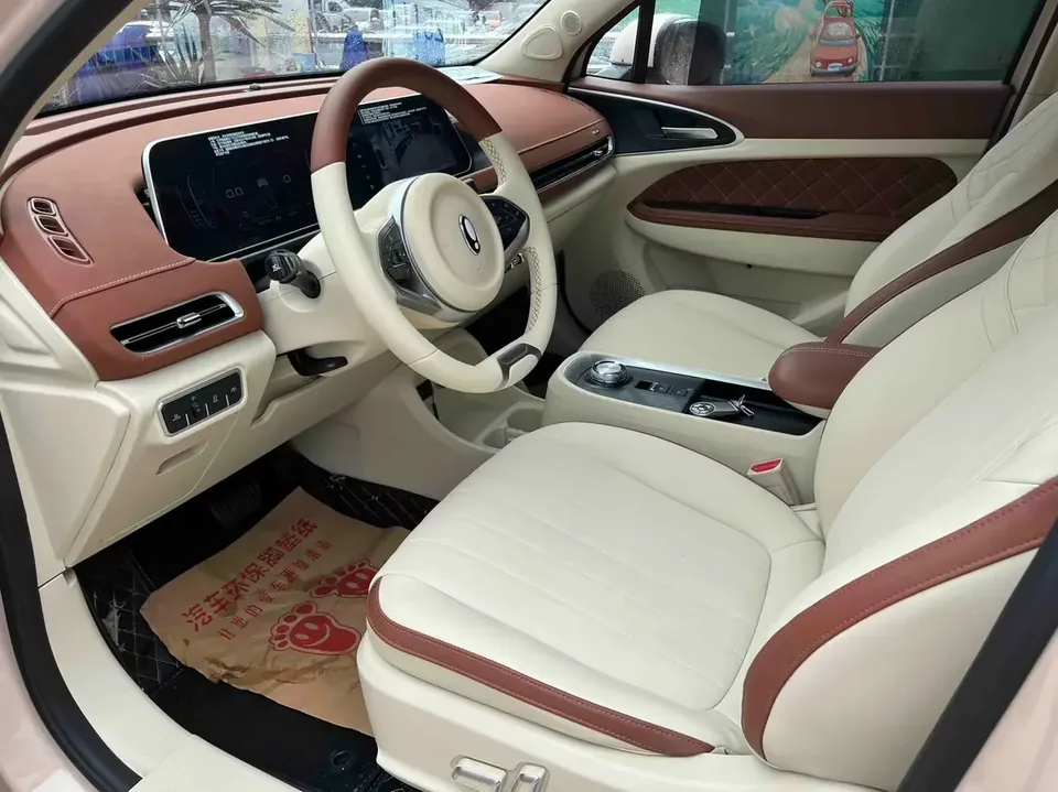 ORA Euler good cat Euler good cat 2022 400km standard endurance luxury lithium iron phosphate 2022 — thumbnail 4