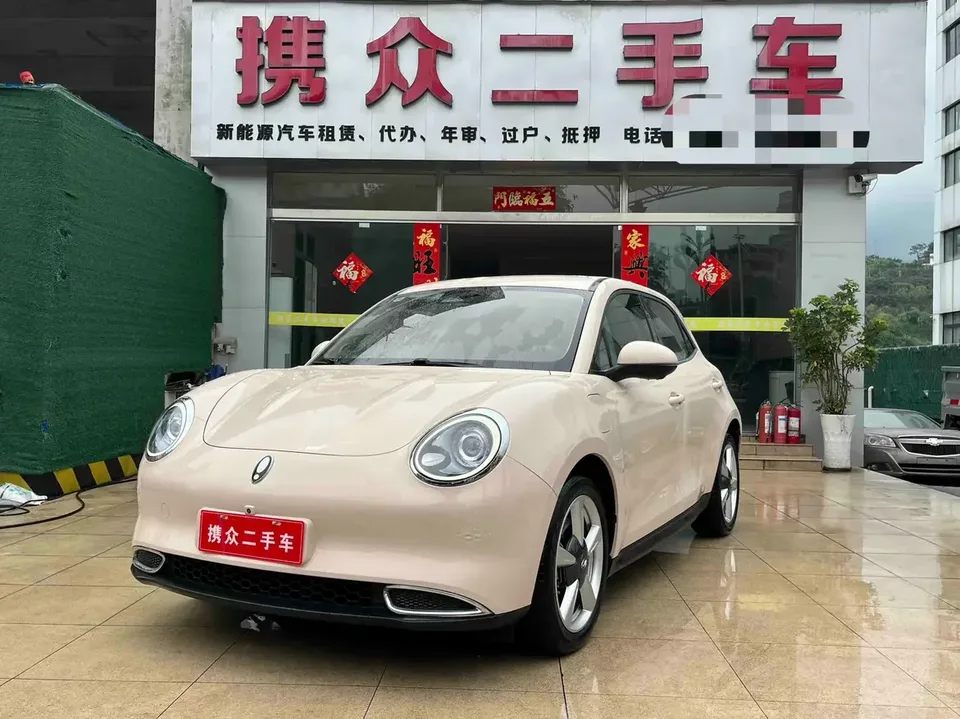 ORA Euler good cat Euler good cat 2022 400km standard endurance luxury lithium iron phosphate 2022 — photo 1, buy with delivery to Moscow