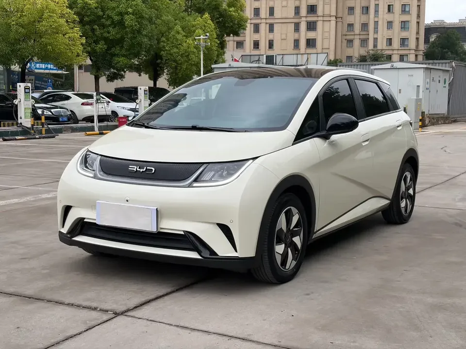 BYD Dolphin dolphin 2024 Honor Edition 420km Fashion Edition 2024 — photo 1, buy with delivery to Moscow