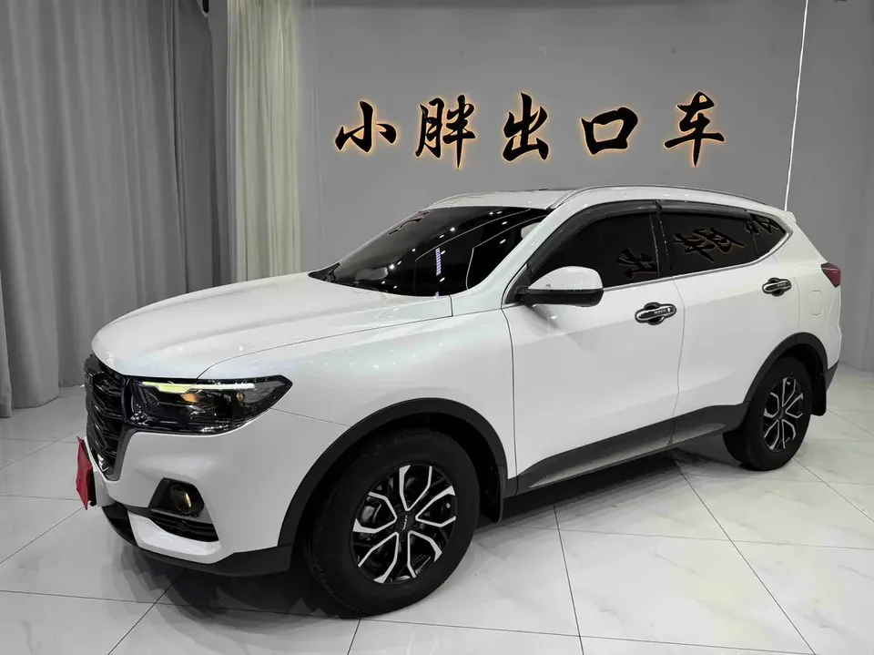 Haval H6 Haval H6 2021 National Trend Edition 1.5T Automatic City Edition 2022 — photo 1, buy with delivery to Moscow