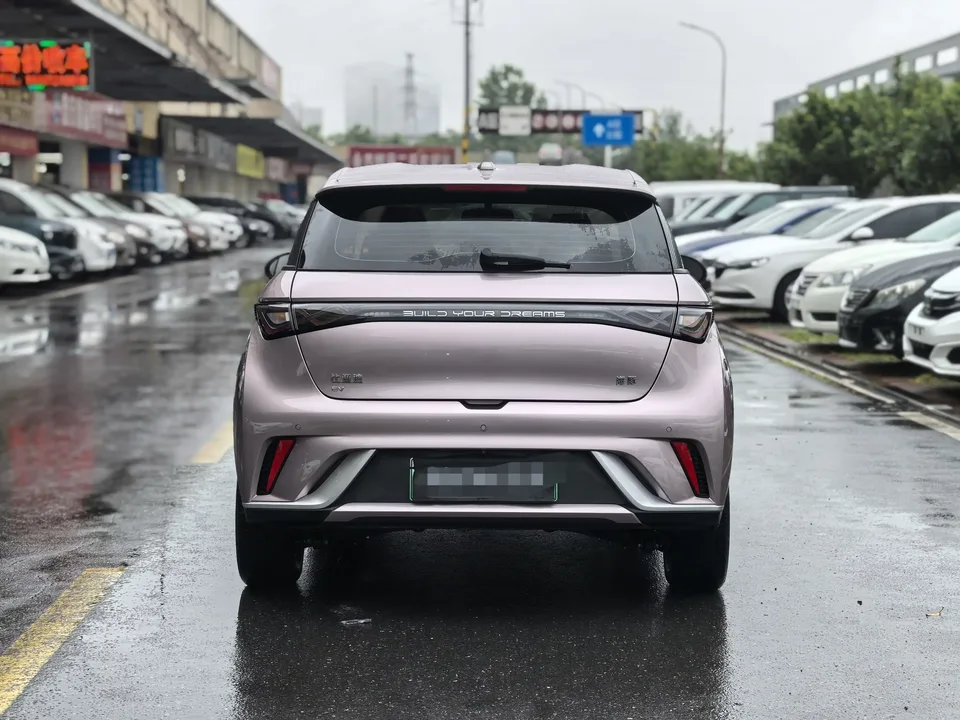 BYD Dolphin dolphin 2024 Glory Edition 420km Freedom Edition 2024 — thumbnail 2