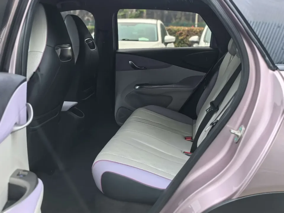 BYD Dolphin dolphin 2024 Glory Edition 420km Freedom Edition 2024 — thumbnail 3