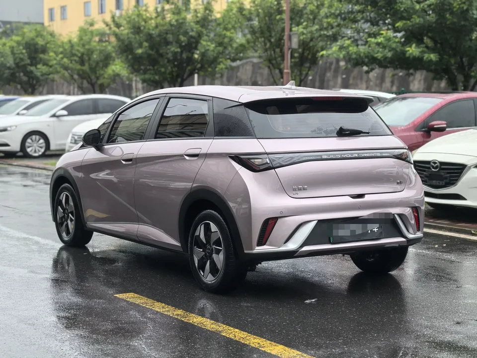 BYD Dolphin dolphin 2024 Glory Edition 420km Freedom Edition 2024 — thumbnail 4