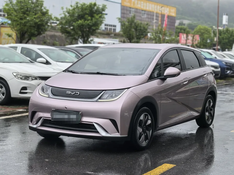 BYD Dolphin dolphin 2024 Glory Edition 420km Freedom Edition 2024 — photo 1, buy with delivery to Moscow