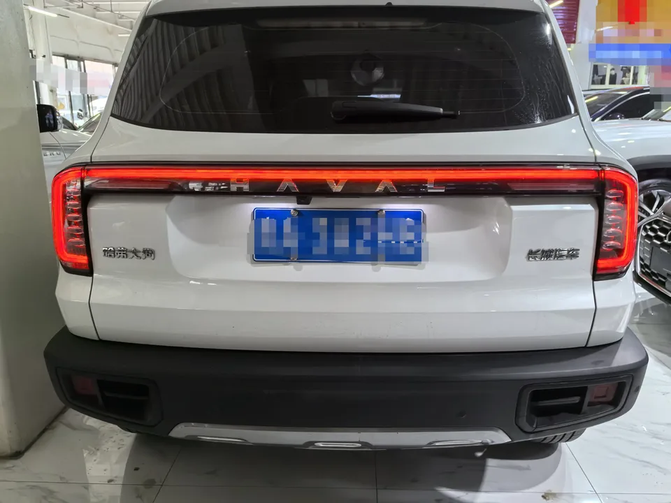 Haval Dargo Harvard dog 2024 1.5T 2WD Border Collie Edition 2024 — thumbnail 2