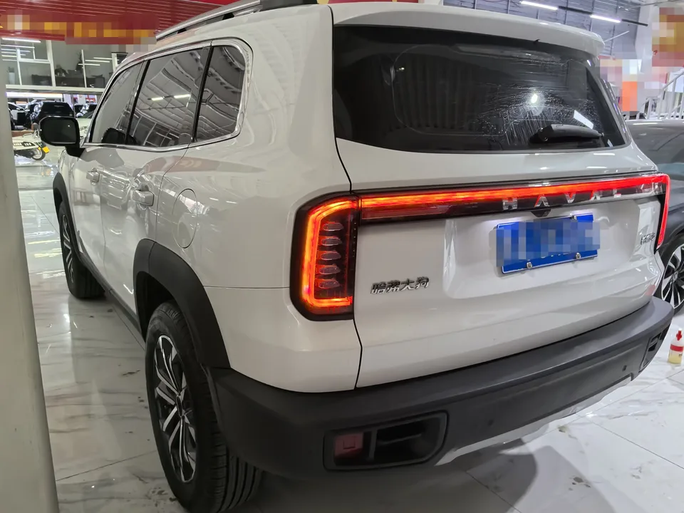 Haval Dargo Harvard dog 2024 1.5T 2WD Border Collie Edition 2024 — thumbnail 4