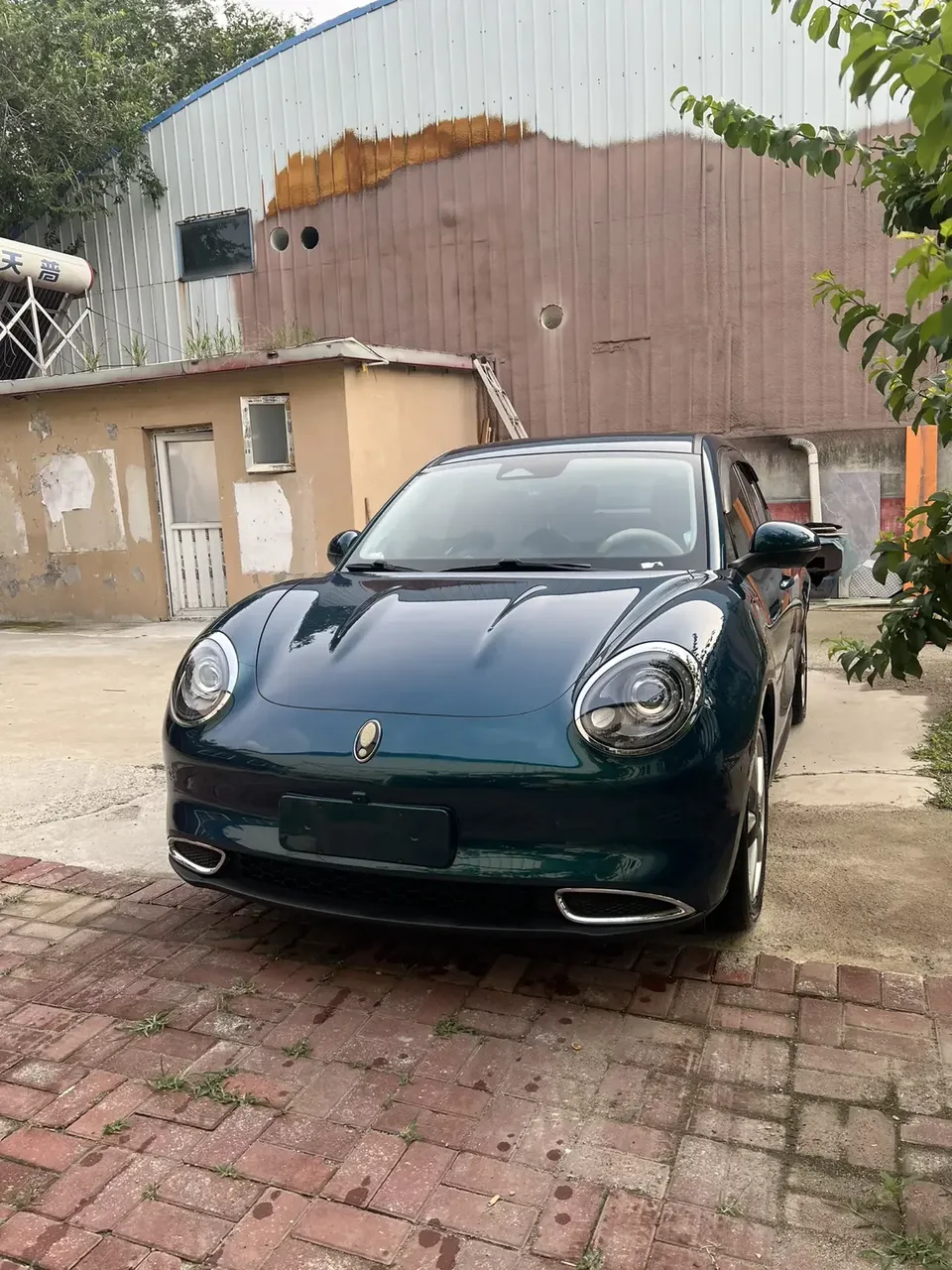 ORA Euler good cat Euler good cat 2024 401km Premium 2024 — photo 1, buy with delivery to Moscow