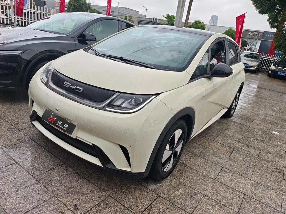 BYD Dolphin dolphin 2023 Fashion version 2023 — photo 1, buy with delivery to Moscow