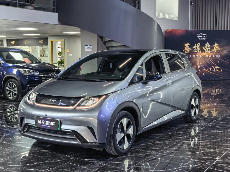 BYD Dolphin dolphin 2023 Free version 2023 — photo 1, buy with delivery to Moscow