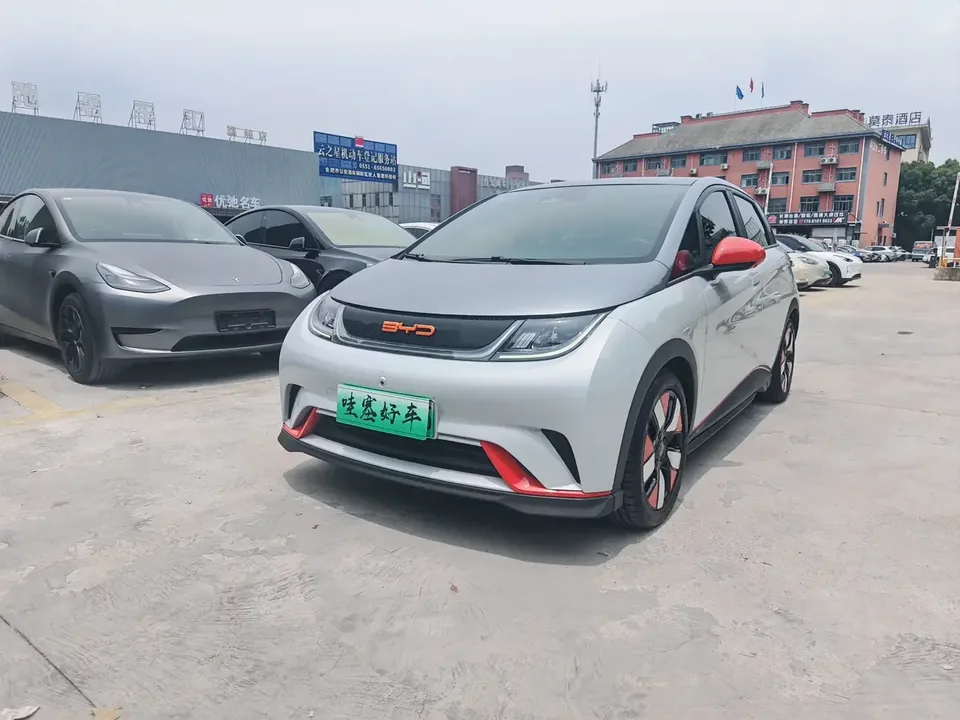 BYD Dolphin dolphin 2021 Knight Edition 2022 — photo 1, buy with delivery to Moscow