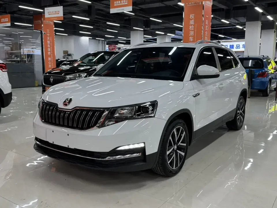 Skoda Comek Comek 2023 1.5L Automatic Comfort Edition 2023 — photo 1, buy with delivery to Moscow