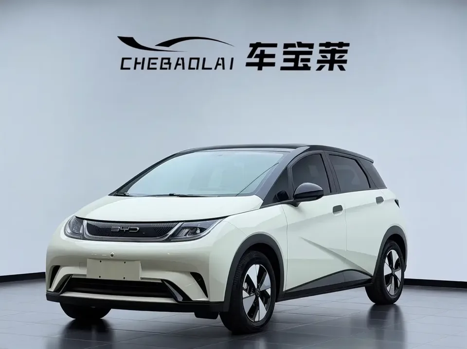 BYD Dolphin dolphin 2023 Free version 2023 — photo 1, buy with delivery to Moscow