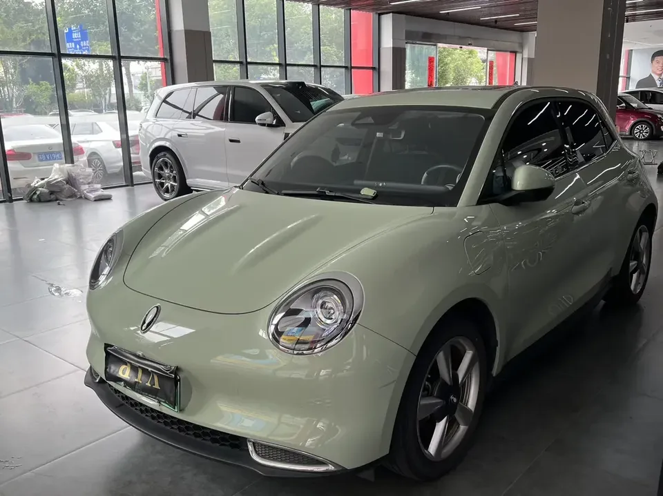ORA Euler good cat Euler good cat 2022 400km standard endurance premium ternary lithium 2022 — photo 1, buy with delivery to Moscow