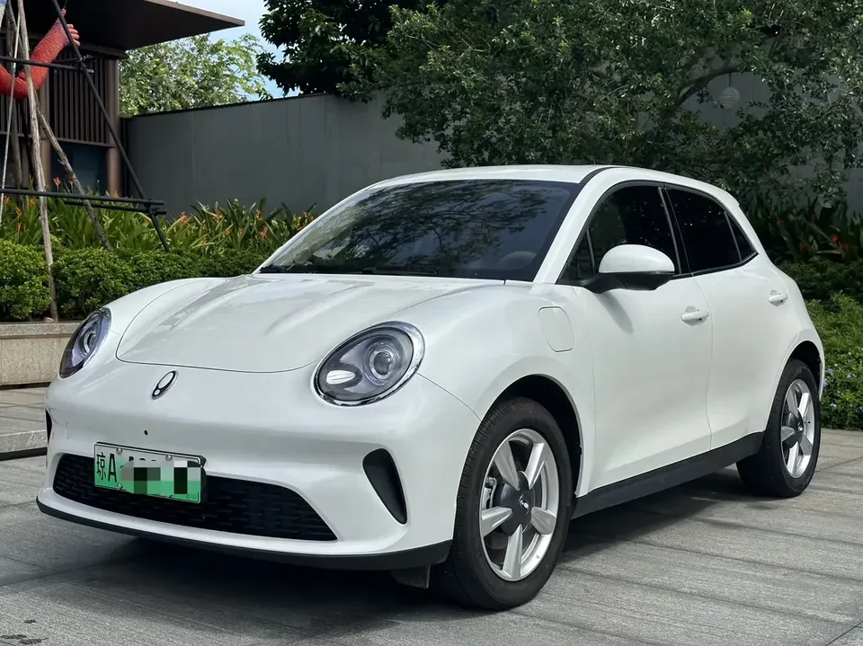 ORA Euler good cat Euler good cat 2025 430km Premium 2025 — photo 1, buy with delivery to Moscow