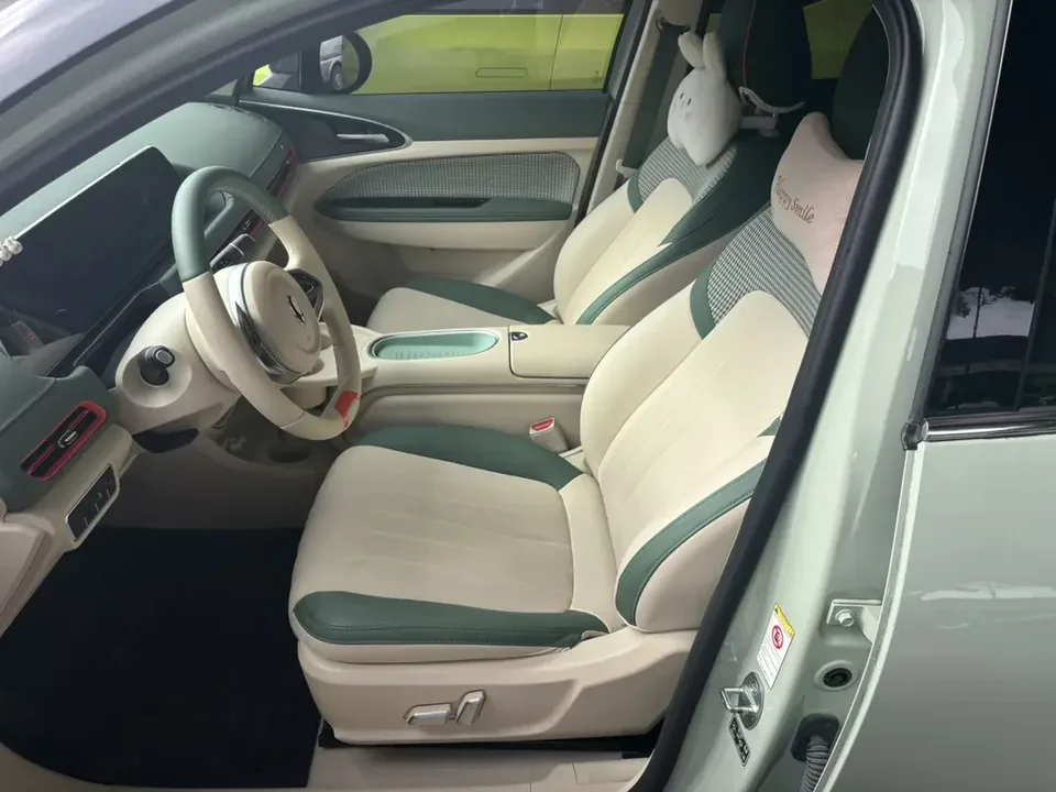 ORA Euler good cat Euler good cat 2023 401km standard endurance luxury lithium iron phosphate 2024 — миниатюра 3