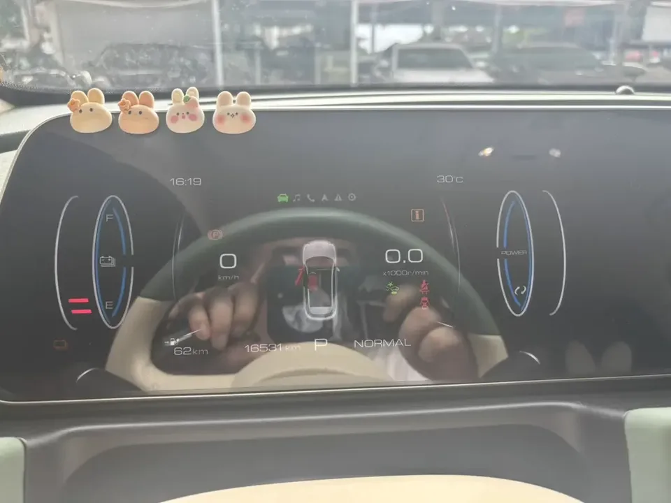 ORA Euler good cat Euler good cat 2023 401km standard endurance luxury lithium iron phosphate 2024 — миниатюра 5