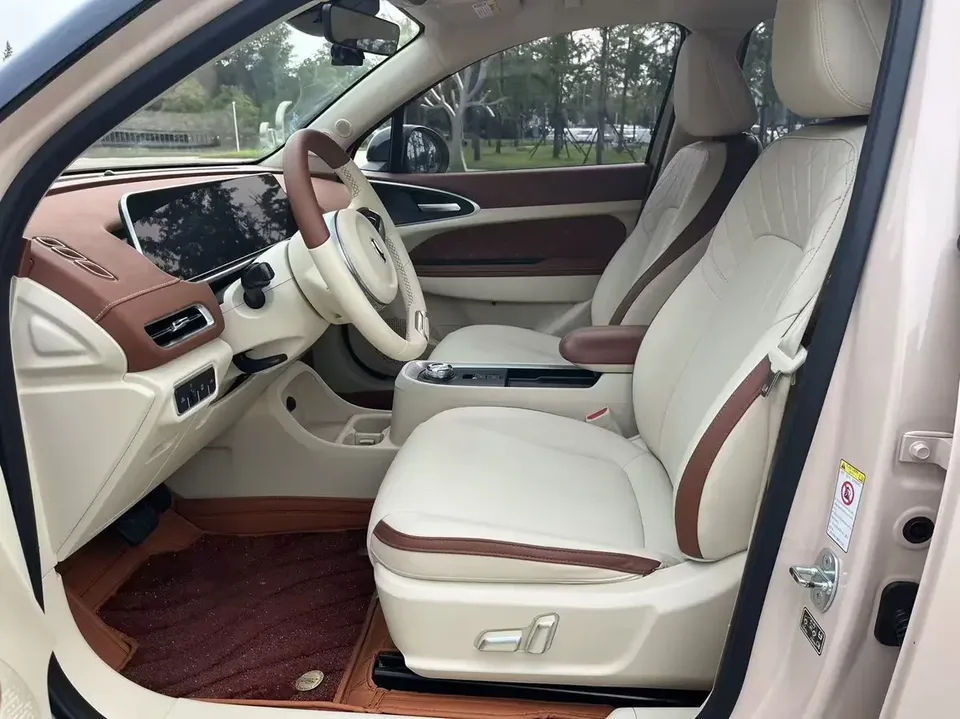 ORA Euler good cat Euler good cat 2022 Morandi version 400km standard range luxury lithium iron phosphate 2022 — thumbnail 5