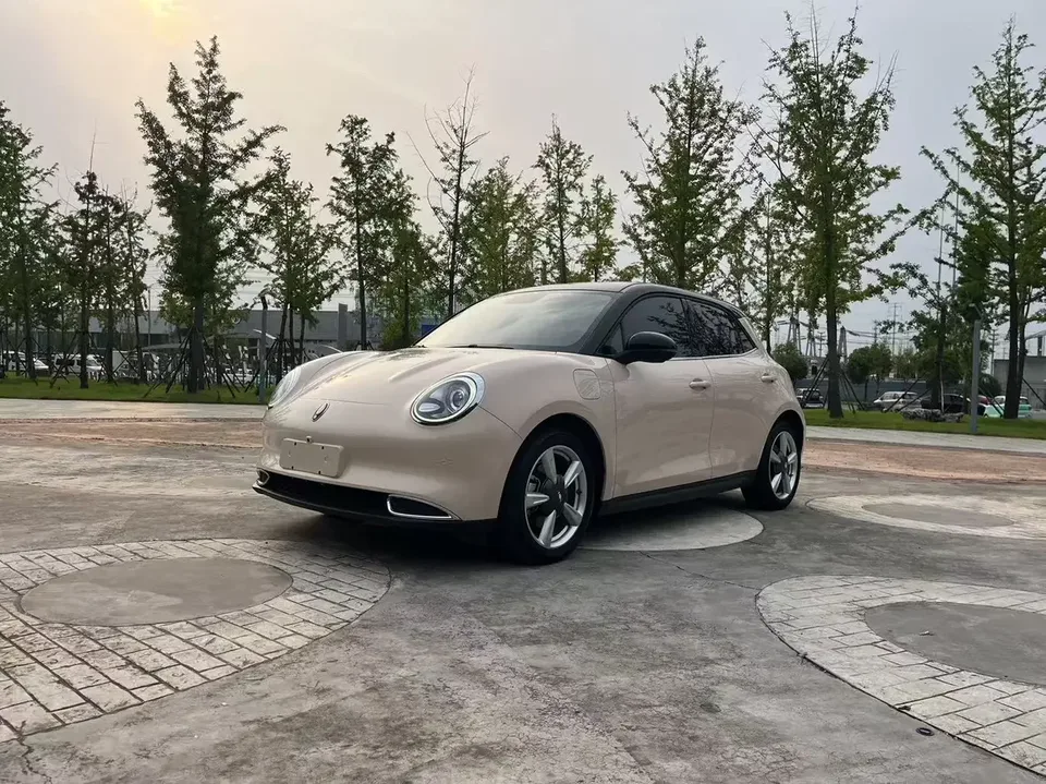 ORA Euler good cat Euler good cat 2022 Morandi version 400km standard range luxury lithium iron phosphate 2022 — photo 1, buy with delivery to Moscow