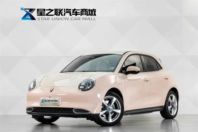 ORA Euler good cat Euler good cat 2023 401km standard endurance luxury lithium iron phosphate 2023 — photo 1, buy with delivery to Moscow