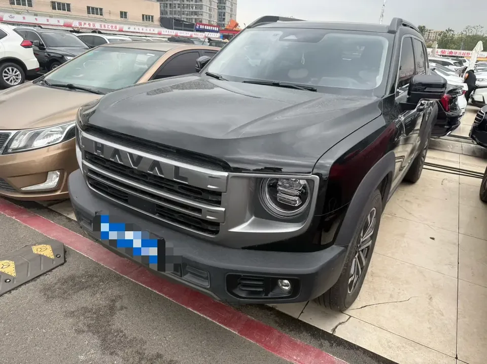 Haval Dargo Harvard dog 2024 1.5T 2WD Border Collie Edition 2024 — фото 1, купить с доставкой в Москву