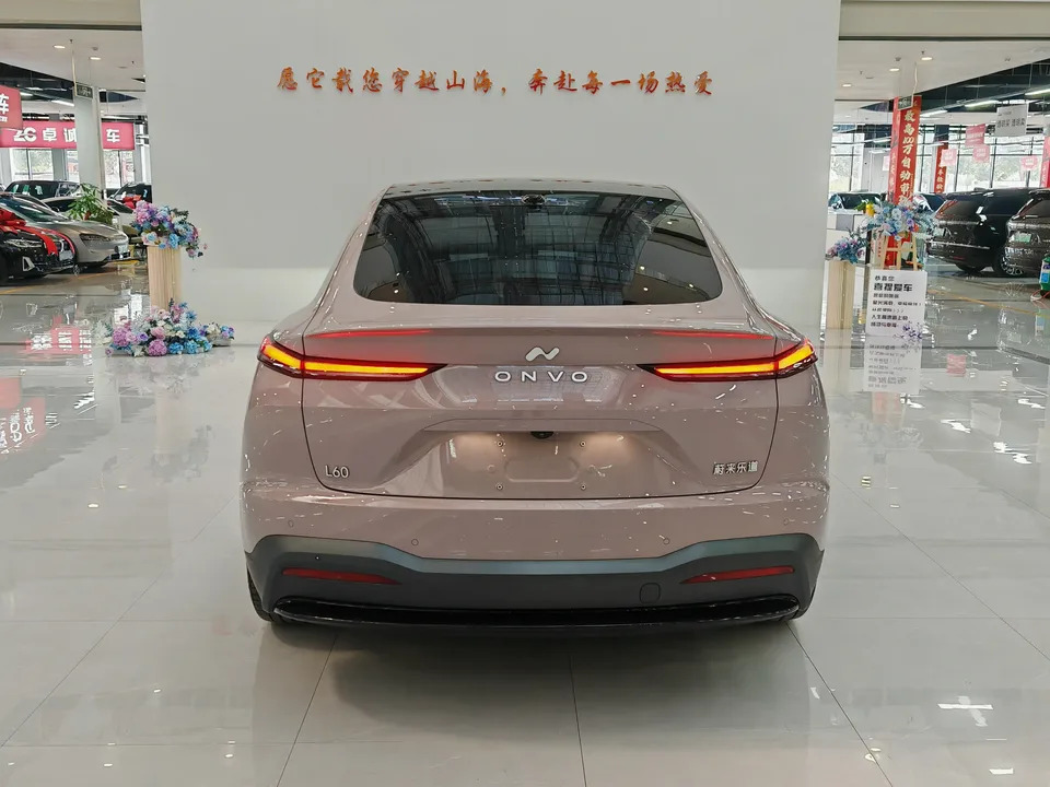 Ledao L60 Ledao L60 2024 555km standard range version 2024 — thumbnail 2