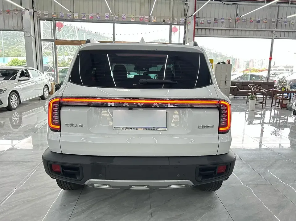 Haval Dargo Harvard dog 2024 1.5T 2WD Border Collie Edition 2025 — thumbnail 2
