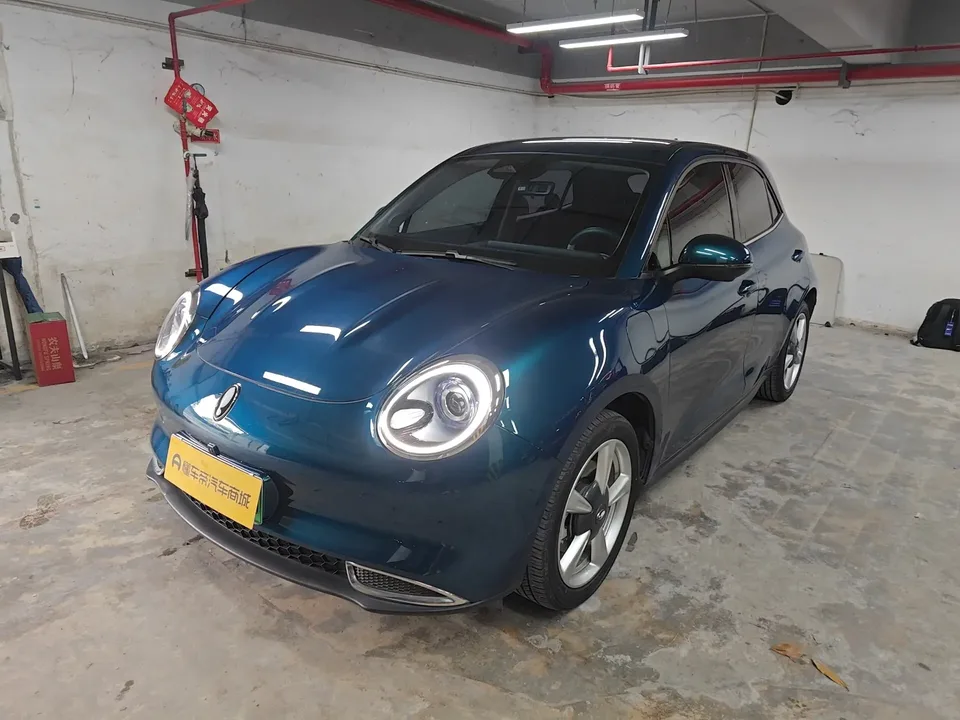 ORA Euler good cat Euler good cat 2023 401km standard endurance luxury lithium iron phosphate 2023 — photo 1, buy with delivery to Moscow