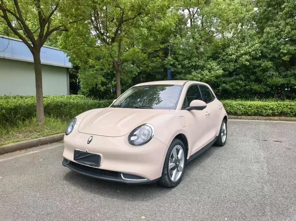 ORA Euler good cat Euler good cat 2023 401km standard endurance luxury lithium iron phosphate 2023 — photo 1, buy with delivery to Moscow