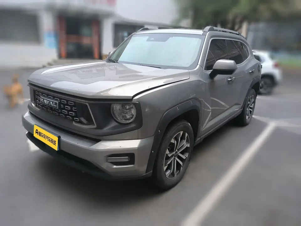 Haval H-Dog Haval Big Dog PLUS 2023 1.5T 2WD Trendy Wild Edition Plus 2024 — photo 1, buy with delivery to Moscow