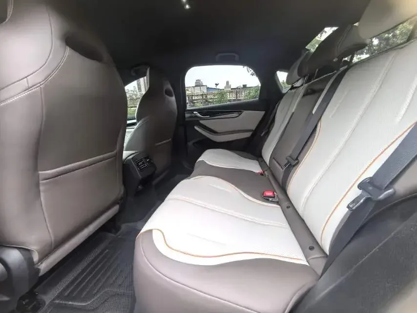 BYD Qin PLUS EV Qin PLUS EV 2024 Honor Edition 510KM Leading Edition 2024 — thumbnail 3