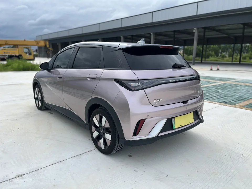 BYD Dolphin dolphin 2025 520KM Knight Edition 2024 — thumbnail 2