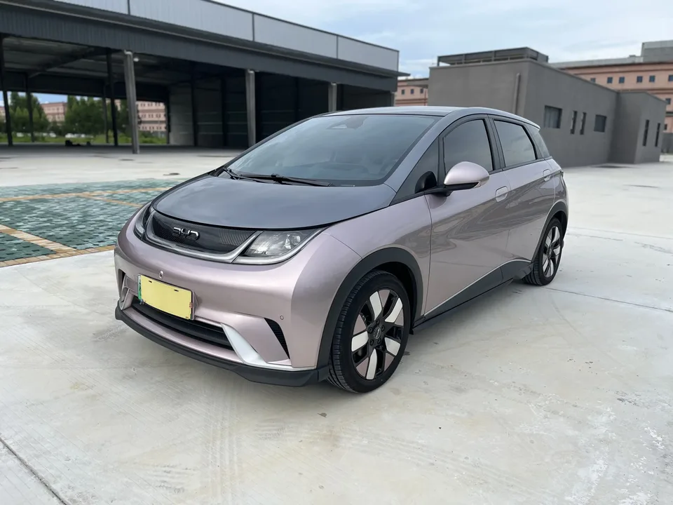 BYD Dolphin dolphin 2025 520KM Knight Edition 2024 — photo 1, buy with delivery to Moscow