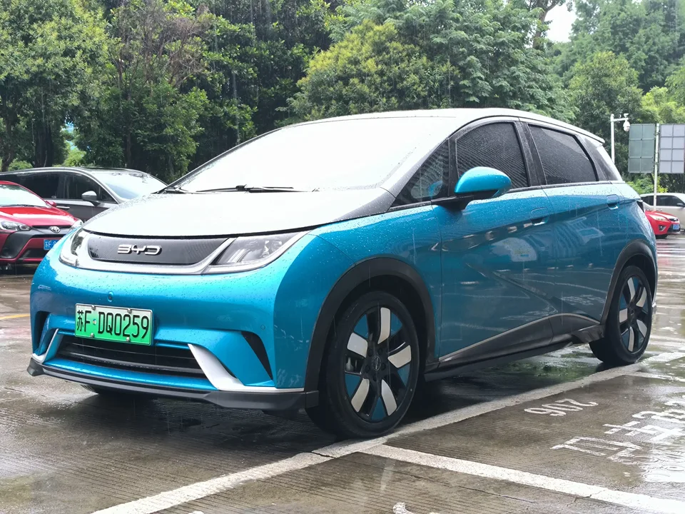 BYD Dolphin dolphin 2023 Knight Edition 2024 — photo 1, buy with delivery to Moscow