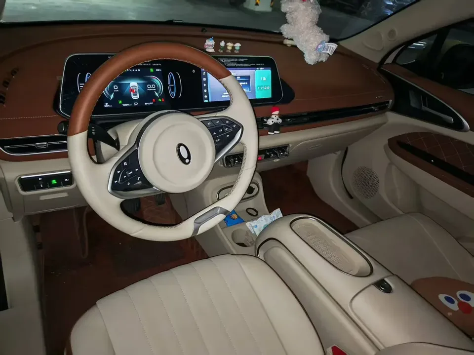 ORA Euler good cat Euler good cat 2023 401km standard endurance luxury lithium iron phosphate 2024 — thumbnail 2