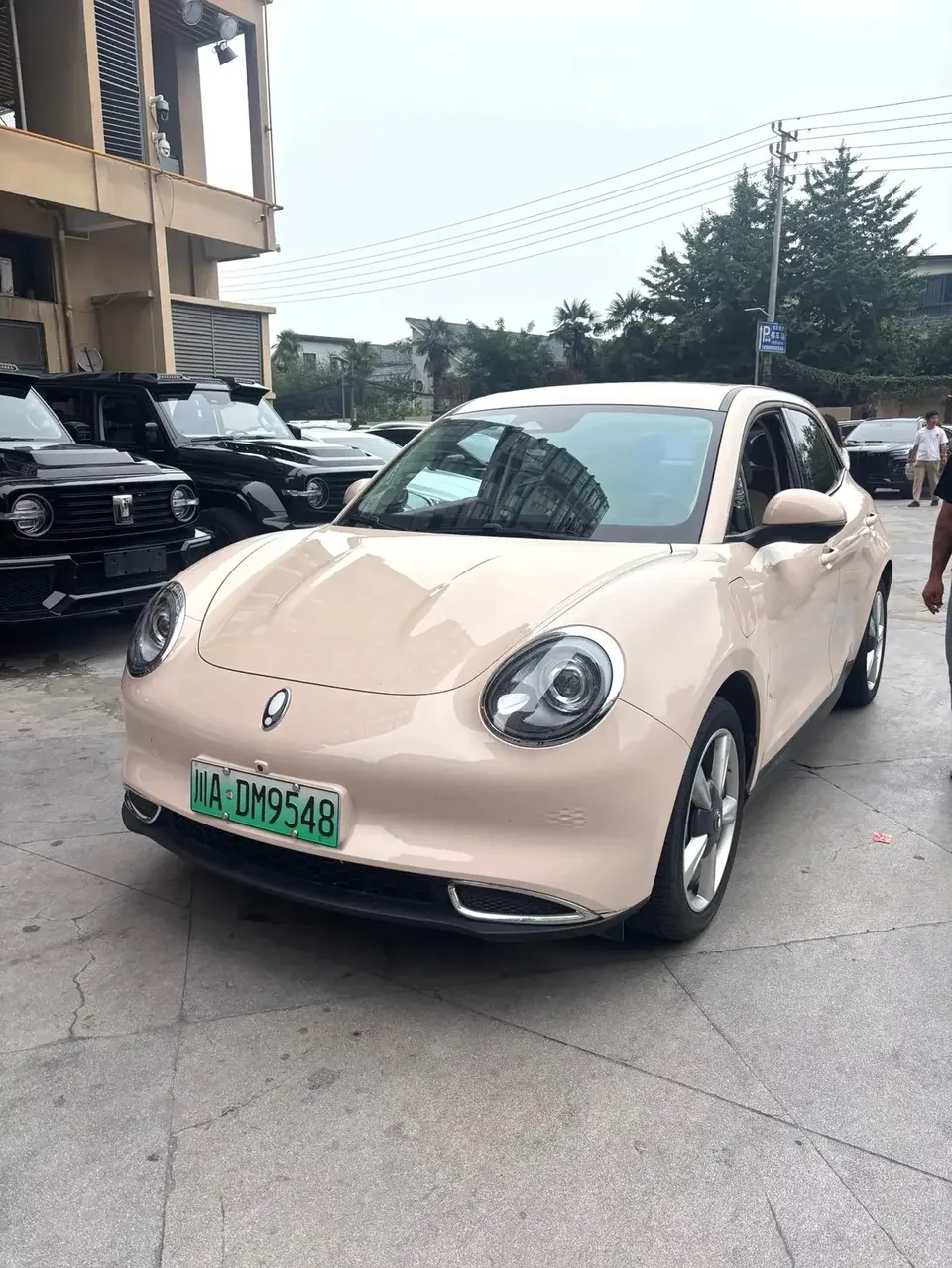 ORA Euler good cat Euler good cat 2023 401km standard endurance luxury lithium iron phosphate 2024 — photo 1, buy with delivery to Moscow