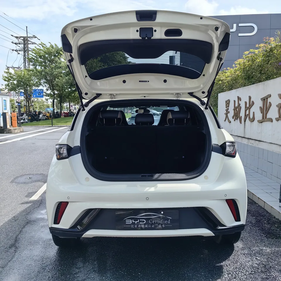 BYD Dolphin dolphin 2023 Fashion version 2023 — миниатюра 3
