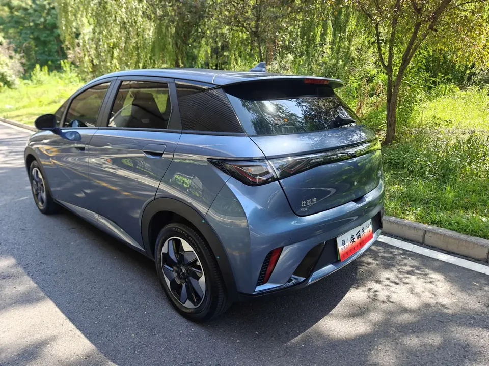 BYD Dolphin dolphin 2025 420KM Free Edition 2025 — thumbnail 2