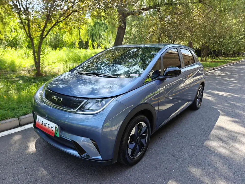 BYD Dolphin dolphin 2025 420KM Free Edition 2025 — photo 1, buy with delivery to Moscow