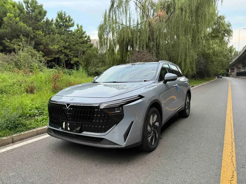 Kai Chen Qichen Big V DD-i Qichen Big V DD-i 2023 110KM iE version 2026 — photo 1, buy with delivery to Moscow