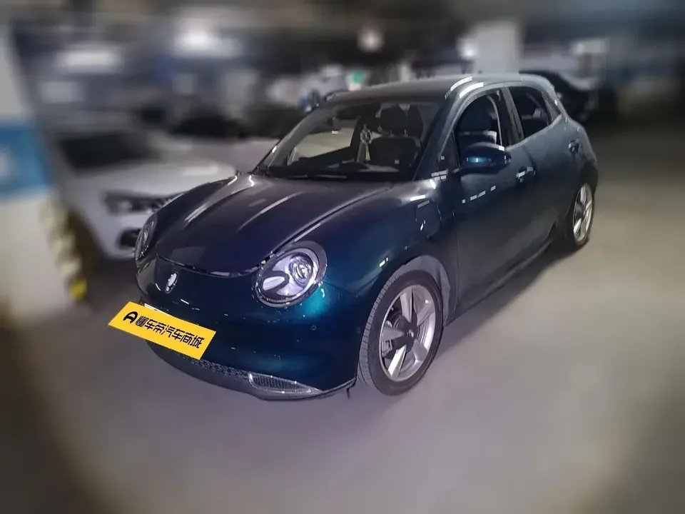 ORA Euler good cat Euler good cat 2023 401km standard endurance luxury lithium iron phosphate 2023 — photo 1, buy with delivery to Moscow