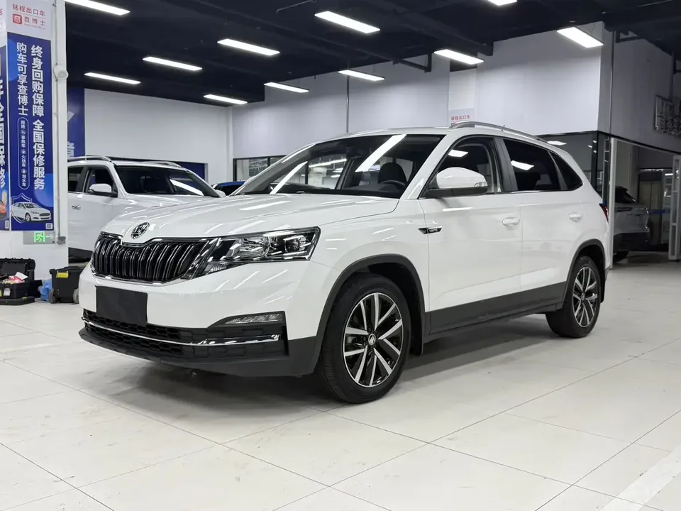Skoda Comek Comek 2022 1.5L Automatic Comfort Edition 2022 — photo 1, buy with delivery to Moscow