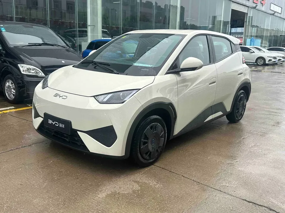 BYD Seagull seagull 2025 305KM Vitality Edition 2026 — photo 1, buy with delivery to Moscow