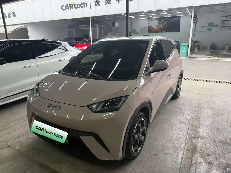 BYD Seagull seagull 2024 Honor Edition 405KM Flying Edition 2024 — photo 1, buy with delivery to Moscow
