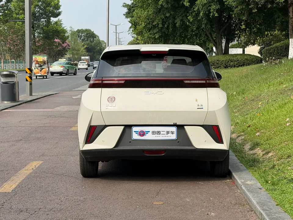 BYD Seagull seagull 2025 Smart Driving Edition 305KM Free Edition 2025 — thumbnail 2
