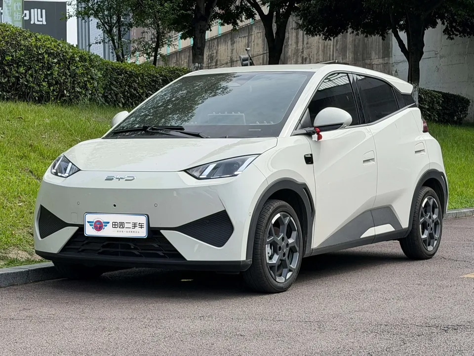 BYD Seagull seagull 2025 Smart Driving Edition 305KM Free Edition 2025 — photo 1, buy with delivery to Moscow
