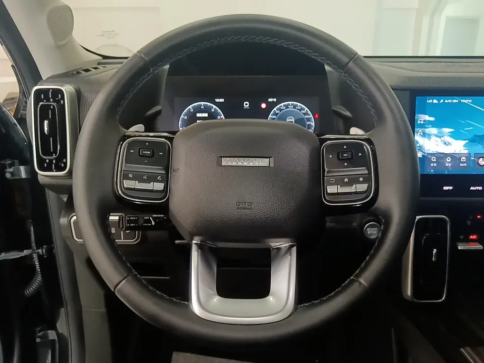 Haval Dargo Harvard dog 2024 1.5T 2WD Border Collie Edition 2024 — thumbnail 3