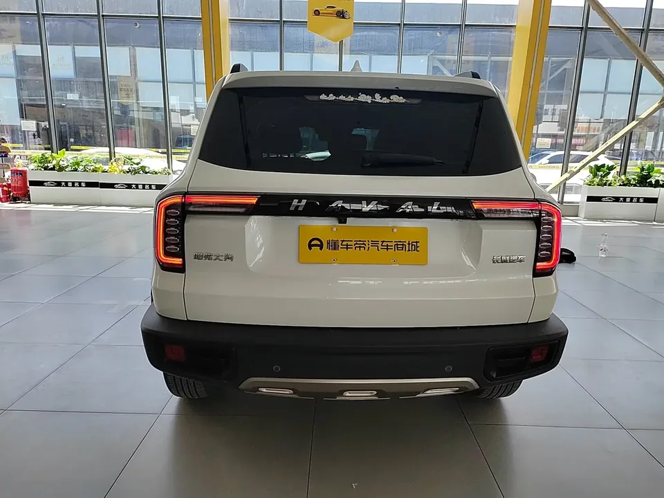 Haval Dargo Harvard dog 2022 1.5T 2WD Border Collie Edition 2022 — thumbnail 2