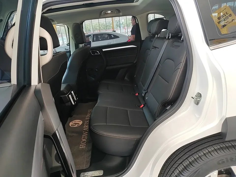 Haval Dargo Harvard dog 2022 1.5T 2WD Border Collie Edition 2022 — thumbnail 3