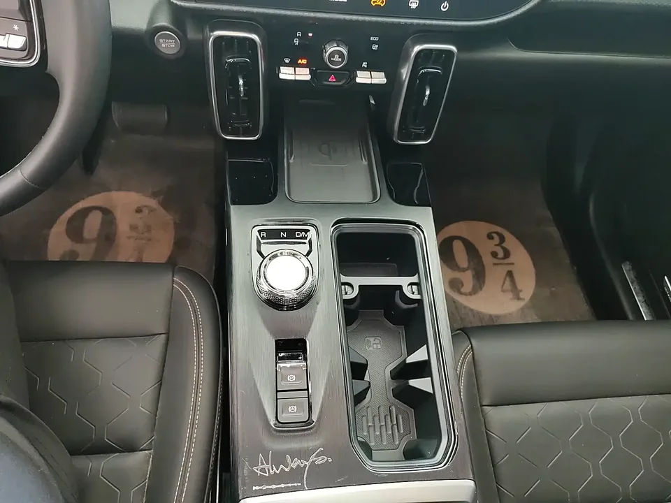 Haval Dargo Harvard dog 2022 1.5T 2WD Border Collie Edition 2022 — thumbnail 4